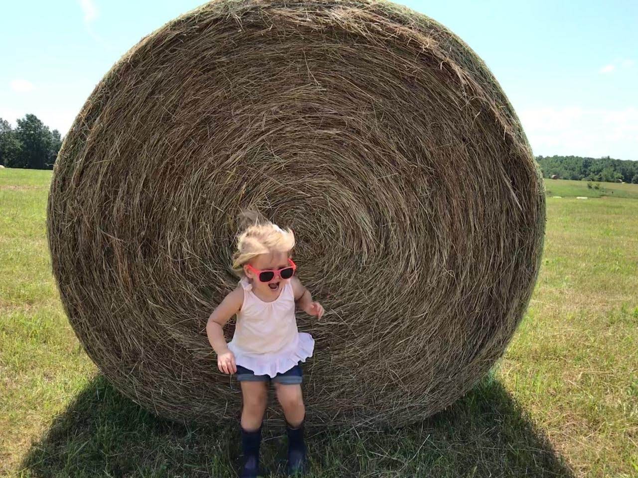 hay